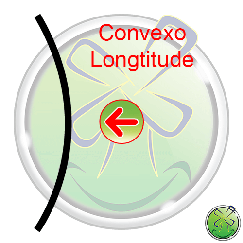 Convexo Longtitude