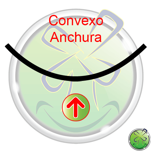Convexo Anchura