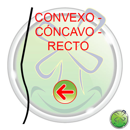 Convexo Concavo Recto