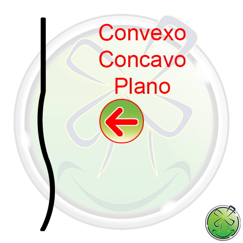 Convexo Concavo Plano